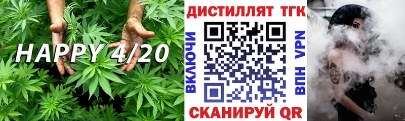 где купить   Липки  ТГК концентрат 